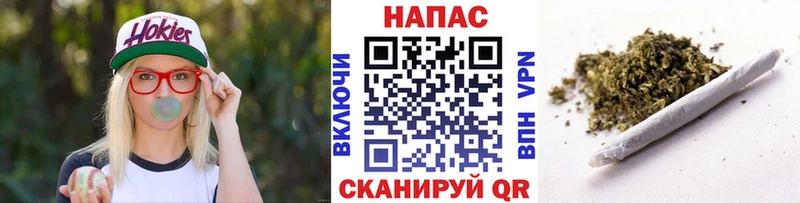 Каннабис план  OMG сайт  Сортавала 